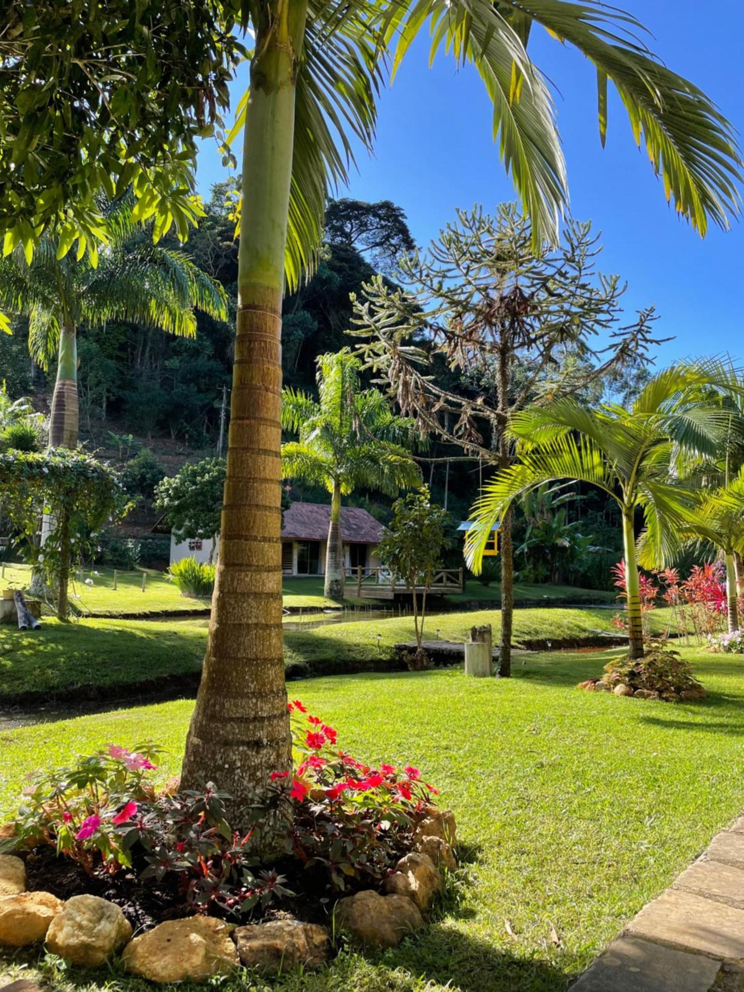 Sitio Terra Sana Acomodação com café da manhã Santa Teresa  Exterior foto
